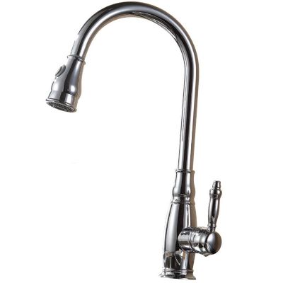 ברז מטבח נשלף דולפין ניקל